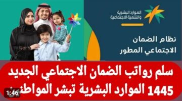 IMG ٢٠٢٣١١٢٨ ٢٠١٢٣٠