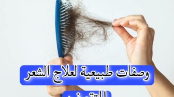 Picsart 23 07 31 22 29 01 318