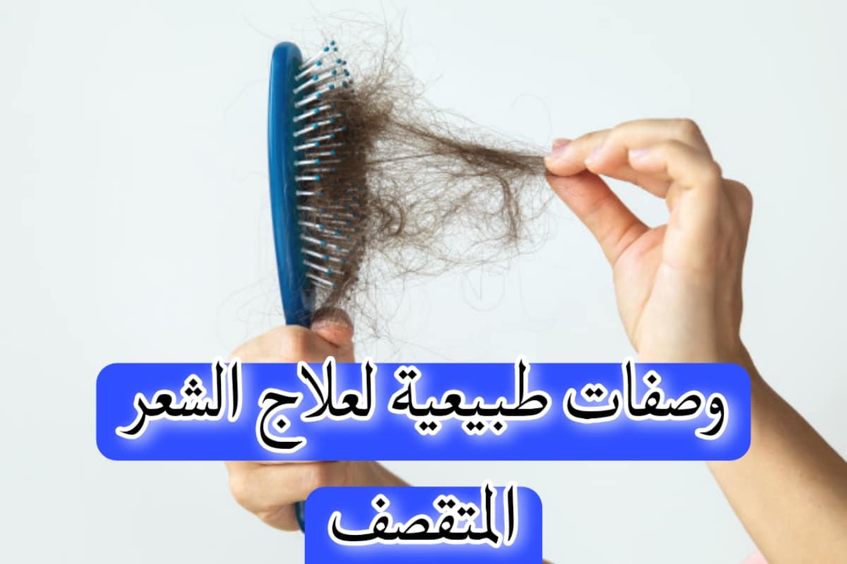 وصفات طبيعية علاجية لتقصف الشعر والتخلص من الهيشان والتجاعيد بشكل نهائي 5 وصفات طبيعية علاجية لتقصف الشعر والتخلص من الهيشان والتجاعيد بشكل نهائي