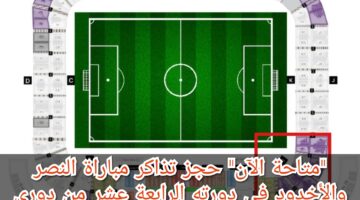 Picsart 23 11 22 10 19 04 347