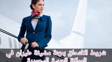 Picsart 23 11 28 09 51 53 690