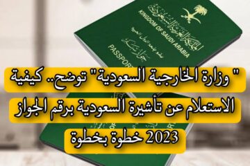 ” وزارة الخارجية السعودية” توضح.. كيفية الاستعلام عن تأشيرة السعودية برقم الجواز 2023 خطوة بخطوة
