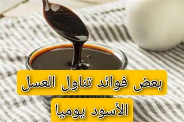 هل تعلم فوائد تناول العسل الأسود يوميًا .. تعرف على الفوائد المذهلة الطبيعية للعسل