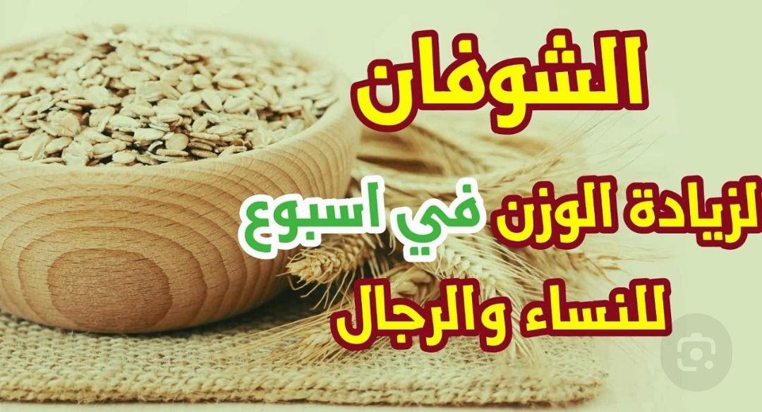وصفة الشوفان لزيادة الوزن في اسبوع فقط شكل الجسم هيتغير 180 درجة 5 وصفة الشوفان لزيادة الوزن في اسبوع فقط شكل الجسم هيتغير 180 درجة