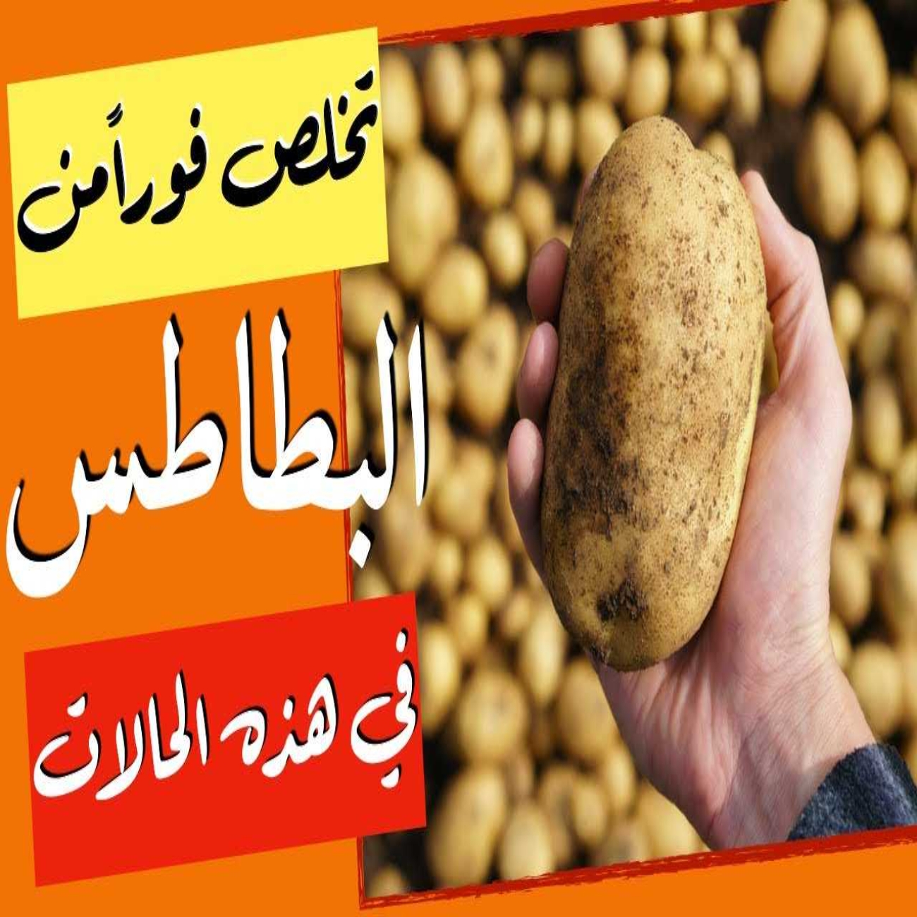 ممكن ان تتسببى في تسمم أسرتك باكملها بهذه البطاطس .. وأنتي لا تعلمي اوعي تكوني بتشتريها ؟! 5 ممكن ان تتسببى في تسمم أسرتك باكملها بهذه البطاطس .. وأنتي لا تعلمي اوعي تكوني بتشتريها ؟!
