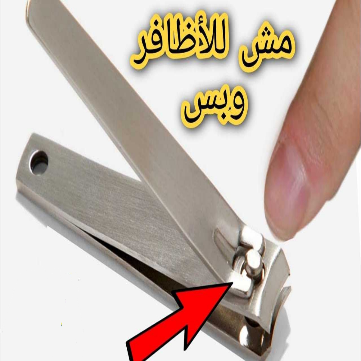 ضاع عمرنا واحنا فاكرين القصافة لتجميل الاظافر فقط؟.. أكتشف استخدمتها السحرية التي لا تعلم عنها شئ ! 5 ضاع عمرنا واحنا فاكرين القصافة لتجميل الاظافر فقط؟.. أكتشف استخدمتها السحرية التي لا تعلم عنها شئ !