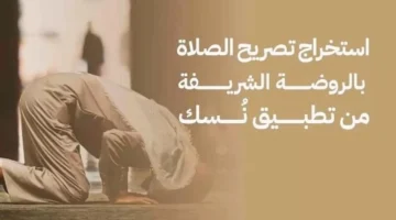 ajel 2023 08 84cd36db 5b57 4b08 bac3 6eb2871b5be9 1266e251 fd31 467e 915f cfc7bbcac45a 1