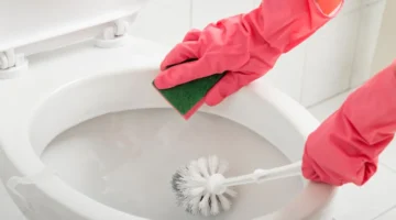 clean toilet x1
