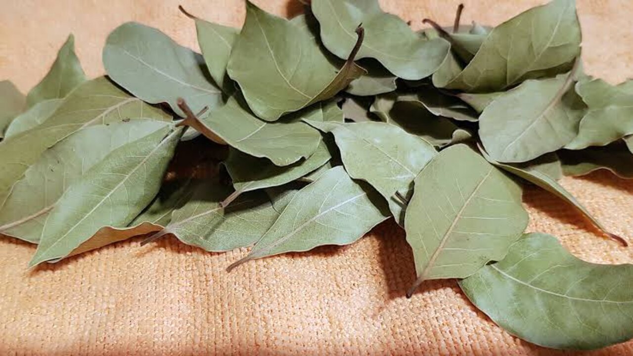 عشبة سحرية مفعولها خارق احصلي على فوائدها الخيالية 5 عشبة سحرية مفعولها خارق احصلي على فوائدها الخيالية