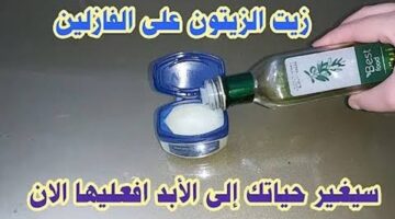 images 13 6 1