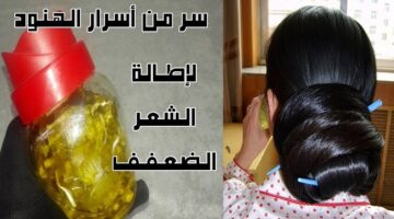 images 2023 11 10T130719.408
