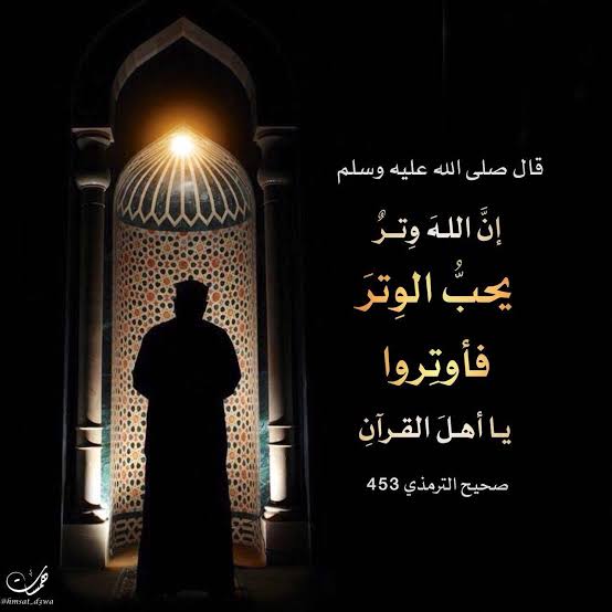 "عشان الثواب ما يروحش"... طريقة صلاة الوتر وعدد الركعات ووقتها 9 “عشان الثواب ما يروحش”… طريقة صلاة الوتر وعدد الركعات ووقتها