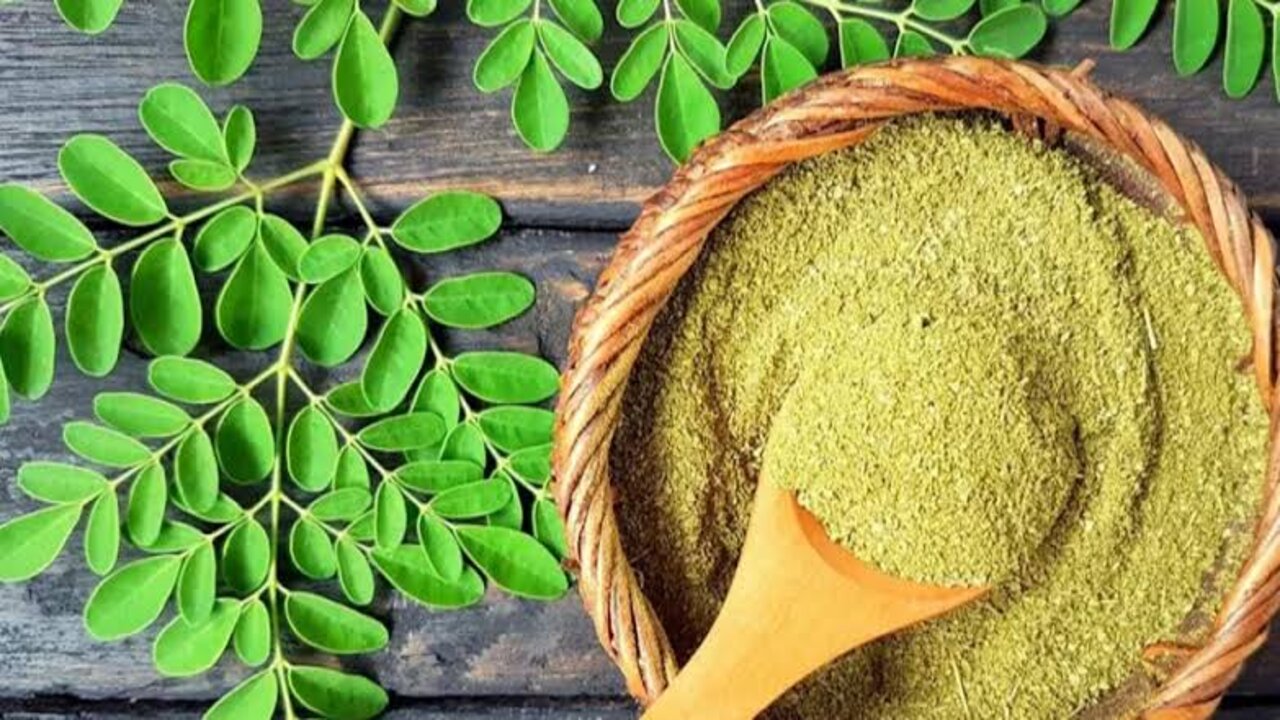 عودك هيبقى إيطالي.. عشبة سرية هتخلصك من الكرش والدهون من غير ريجيم 5 عودك هيبقى إيطالي.. عشبة سرية هتخلصك من الكرش والدهون من غير ريجيم