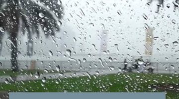 img 1700419006702
