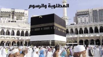 img 1700669468659