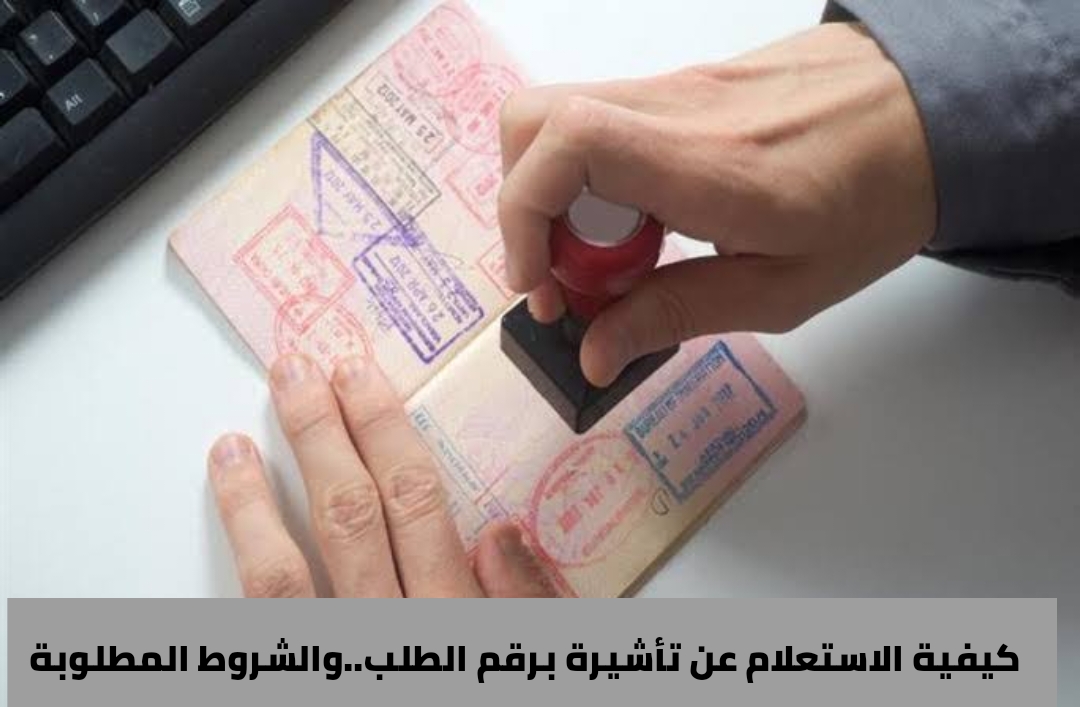 كيفية الاستعلام عن تأشيرة برقم الطلب.. والشروط المطلوبة 5 كيفية الاستعلام عن تأشيرة برقم الطلب.. والشروط المطلوبة