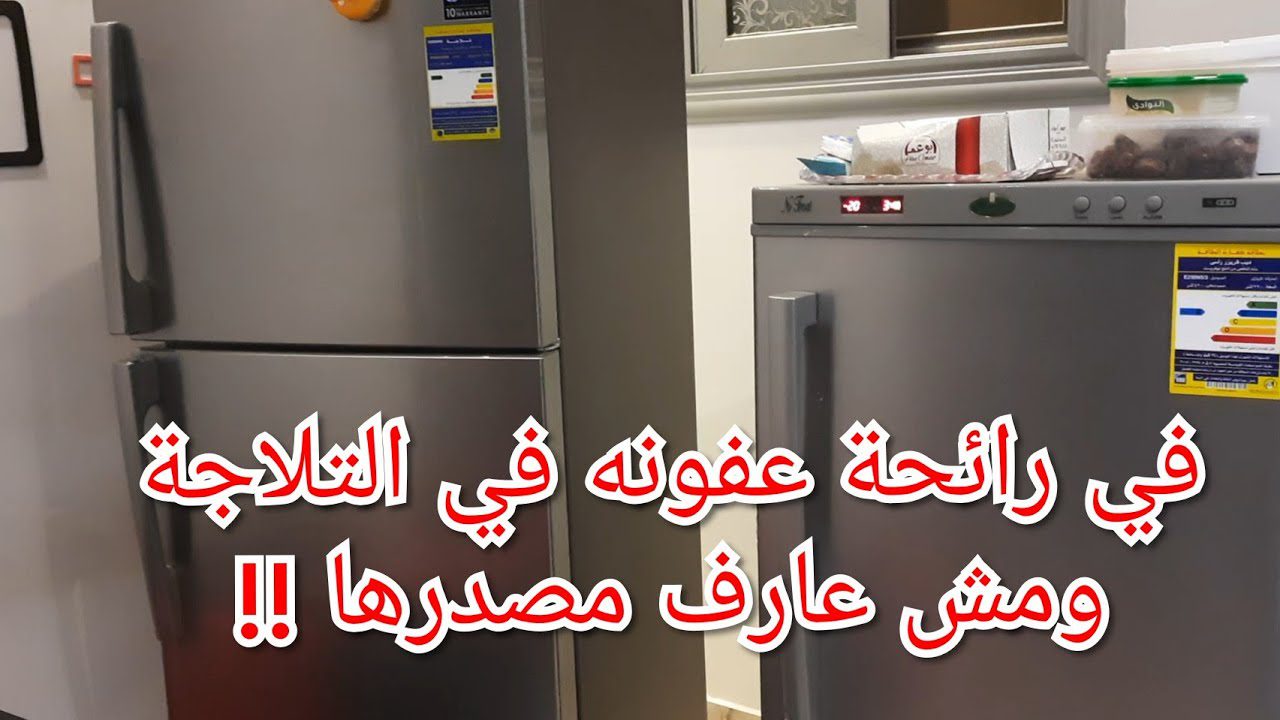هتبقي ريحتها فله.. طريقة تنظيف الثلاجة من الروائح الكريهة وتعقيمها بمكونات متخطرش على بال احد هترجع كأنها جديدة