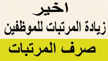 “ودي فرحة متتوصفش”.. زيادة رواتب العاملين بالقطاع الخاص بـ 3 علاوات متواصلة بقرار حكومي