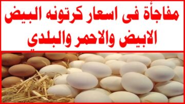 مفاجأة غير متوقعة بشأن سعر كرتونة البيض الأبيض والأحمر في المحلات بالأسواق المصرية