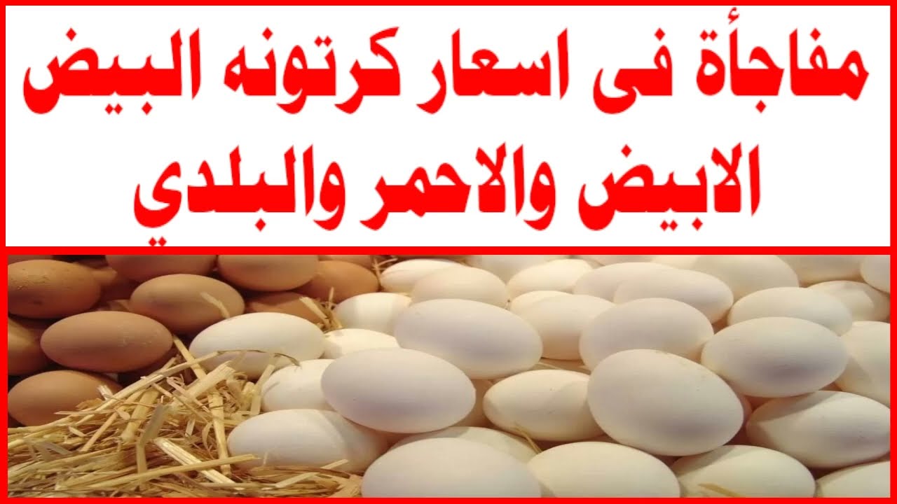 مفاجأة غير متوقعة بشأن سعر كرتونة البيض الأبيض والأحمر في المحلات بالأسواق المصرية 5 مفاجأة غير متوقعة بشأن سعر كرتونة البيض الأبيض والأحمر في المحلات بالأسواق المصرية
