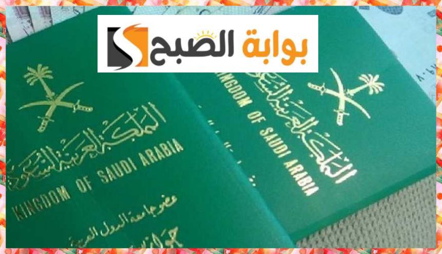 الاستعلام عن تأشيرة من القنصلية السعودية برقم الجواز عبر «إنجاز» 1445