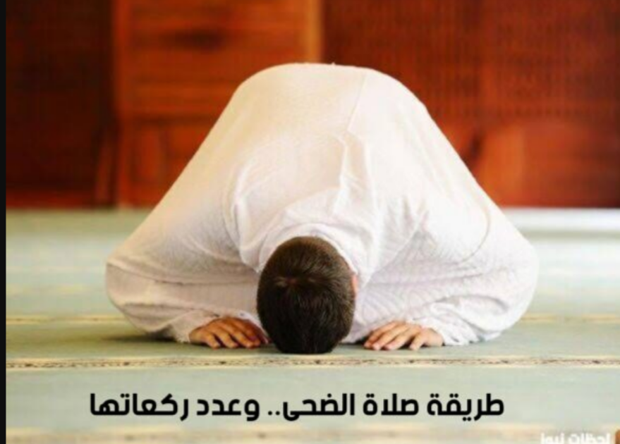 طريقة صلاة الضحى.. وعدد ركعاتها
