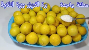 طريقه تخزين الليمون بكميات كبيرة من السنه للسنه هيفضل طازه كأنه جديد