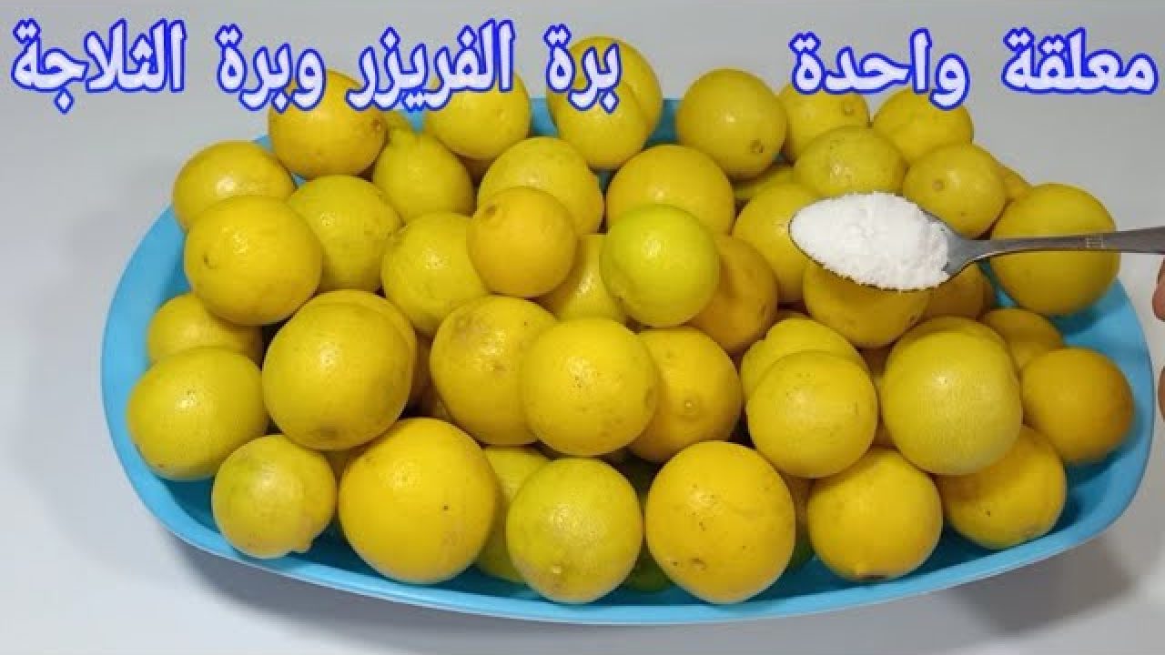 طريقه تخزين الليمون بكميات كبيرة من السنه للسنه هيفضل طازه كأنه جديد