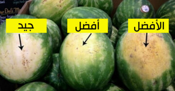 احذر غش التجار أزاي تعرف البطيخة حمرا ولا قرعة من غير ما تفتحها في ثواني