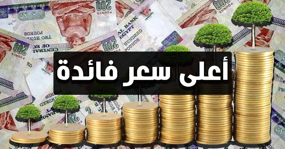 فرصة من دهب.. أعلى شهادات ادخار في البنوك 2023 5 فرصة من دهب.. أعلى شهادات ادخار في البنوك 2023