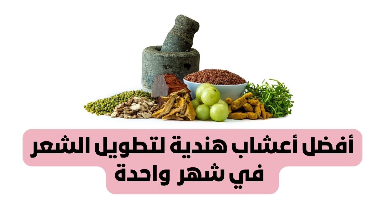 معجزة.. عشبة هندية لتطويل الشعر ومعالجة التقصف ومنع الهيشان بوصفة جهنمية 5 معجزة.. عشبة هندية لتطويل الشعر ومعالجة التقصف ومنع الهيشان بوصفة جهنمية