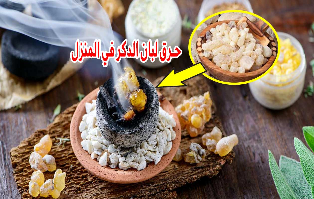 قومي بحرق 5 قطع من لبان الدكر في المنزل لن تصدقي ماذا يحدث فوائد رهيبة 5 قومي بحرق 5 قطع من لبان الدكر في المنزل لن تصدقي ماذا يحدث فوائد رهيبة