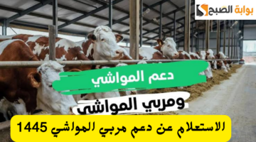 إضافة عنوان فرعي 20231115 154939 ٠٠٠٠