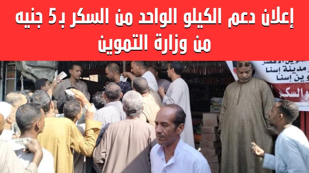 “سكرك متسيطر على سعره”.. وزير التموين يُصرح تصريح هام للمواطنين حول سعر كيلو السكر