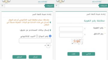اعادة ضبط كلمة المرور في نظام نور