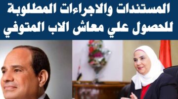 الأوراق المطلوبة للحصول على معاش المتوفي 2023