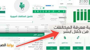الاستعلام عن المخالفات المرورية