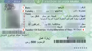 الاستعلام عن تأشيرة السعودية برقم الجواز