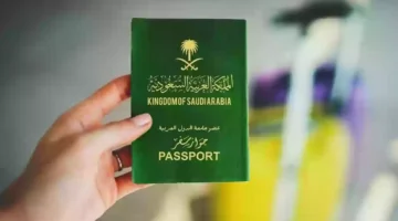 الاستعلام عن تأشيرة برقم الجواز