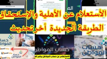 الاستعلام عن حساب المواطن لمستفيدي الضمان