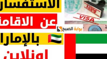 الاستعلام عن صلاحية تأشيرة الإمارات