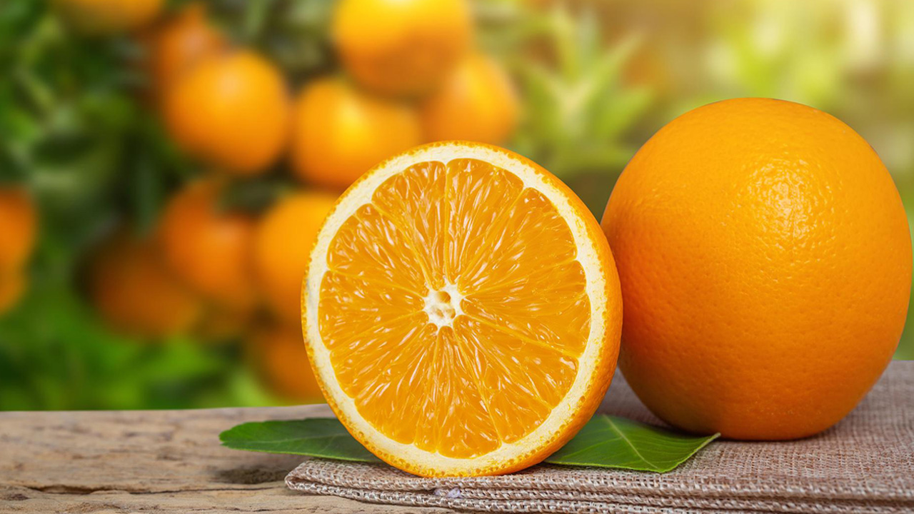 مش هتمنعه من بيتك بعدها.. ماذا يحدث لجسمك عند تناول برتقالة واحدة كل يوم في فصل الشتاء؟!.. أطباء يجيبون
