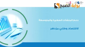 الشركة السعودية للتمويل