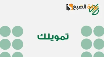الشركة الوطنية للتمويل
