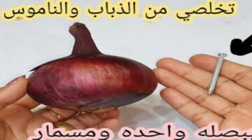 الصراصير 1