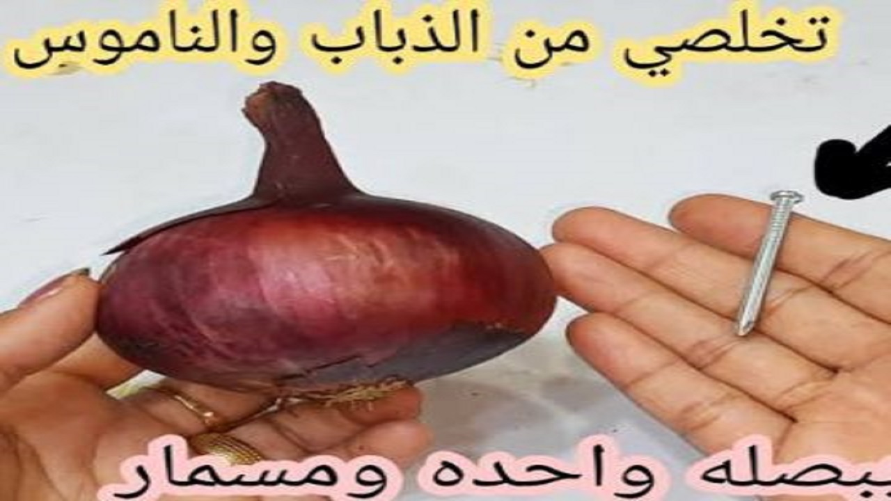 وصفة سحرية ببصله واحده ومسمار تخلصي من النمل والصراصير والناموس نهائيا من أول استخدام 5 وصفة سحرية ببصله واحده ومسمار تخلصي من النمل والصراصير والناموس نهائيا من أول استخدام