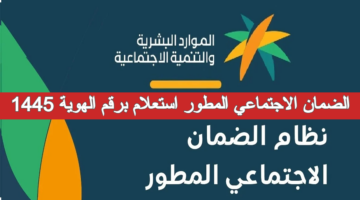 الضمان الاجتماعي المطور 12
