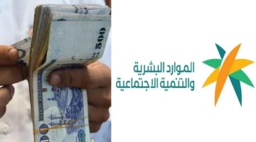 الضمان المطور