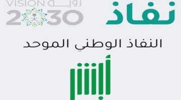 النفاذ الوطني تسجيل دخول