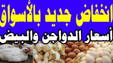الفراخ لسه بتفرحنا .. انخفاض جديد  في أسعار الدواجن بمصر اليوم وفقًا لمبادرة خفض الأسعار